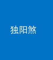 资阳阴阳风水化煞四十二——独阳煞