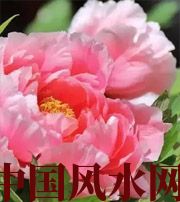 资阳预示你财运上升，姻缘可成的梦境，快来看看吧！