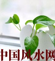 资阳家中摆放六种吉祥物，会打开您的财运大门！