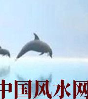 资阳做梦梦到这些，是要富裕的征兆！